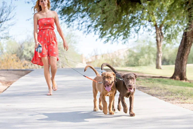 Premium 3M Retractable Double Dog Leash For Small Dogs Reflective 360 Swivel No Tangle Walking Pet Lead With LED Lights