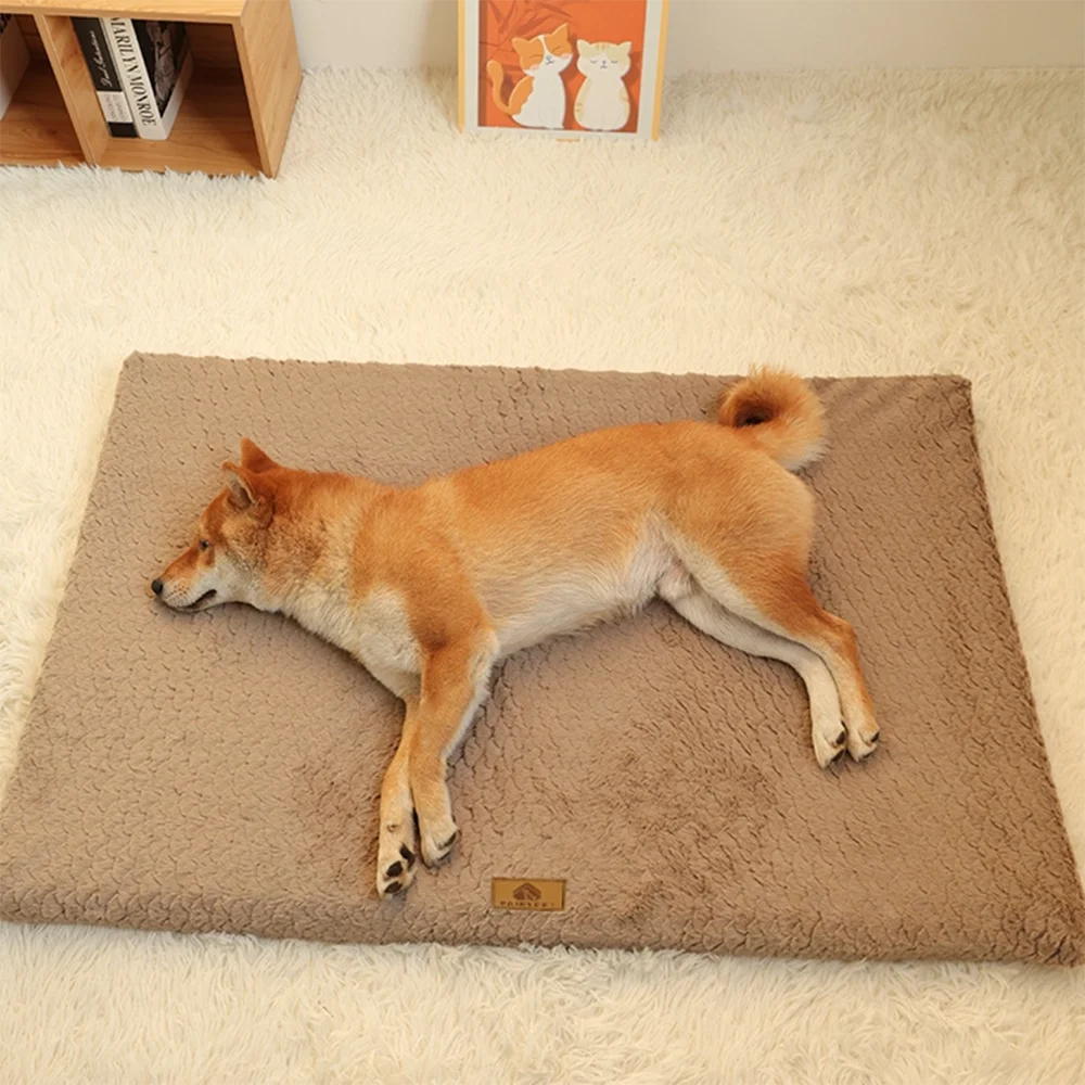 Comfy 3D Foam Pet Bed – Removable Washable Cover & Anti-Slip Design