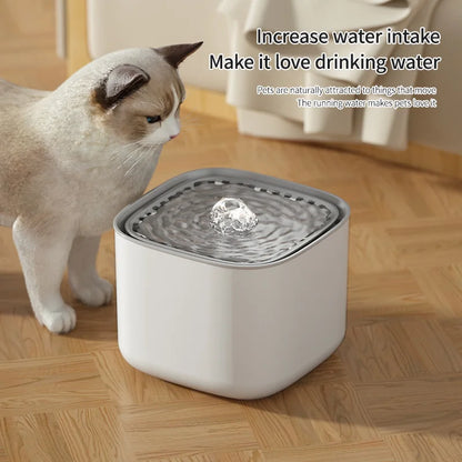USB Cat Water Fountain – 3L Auto Filtered Drinking Bowl