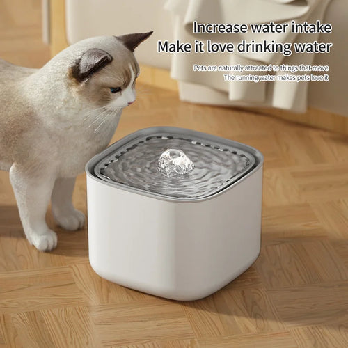 USB Cat Water Fountain – 3L Auto Filtered Drinking Bowl