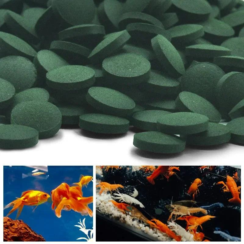 Spirulina Tablets – Premium Aquarium Food for Fish & Shrimp