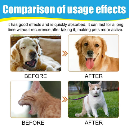 Pet Cough Drop Herbal Cough Soothing Relief Reduce Throat Discomfort Sneezing Treatment Strengthen Immunity Dog Calming Medicine