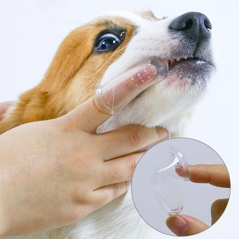 Pet Finger Brush – Silicone Tooth Cleaner for Dogs & Cats