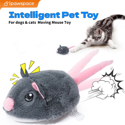 Electric Mouse Cat Toy – Smart Interactive Pet Fun