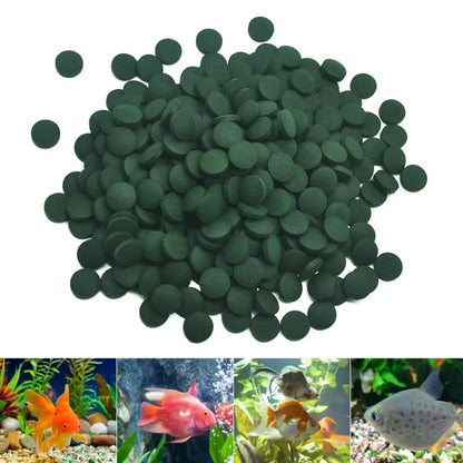Spirulina Tablets – Premium Aquarium Food for Fish & Shrimp