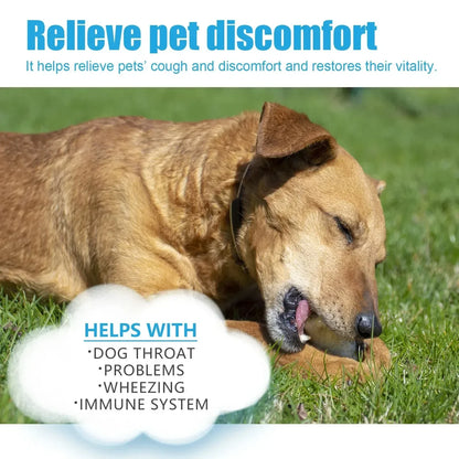 Pet Cough Drop Herbal Cough Soothing Relief Reduce Throat Discomfort Sneezing Treatment Strengthen Immunity Dog Calming Medicine